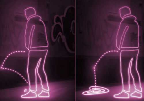 spray anti urine hydrophobe